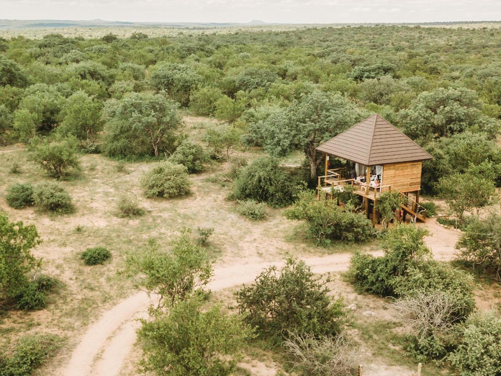 Maroelani Lodge- Greater Kruger Private Reserve Hoedspruit Rum bild